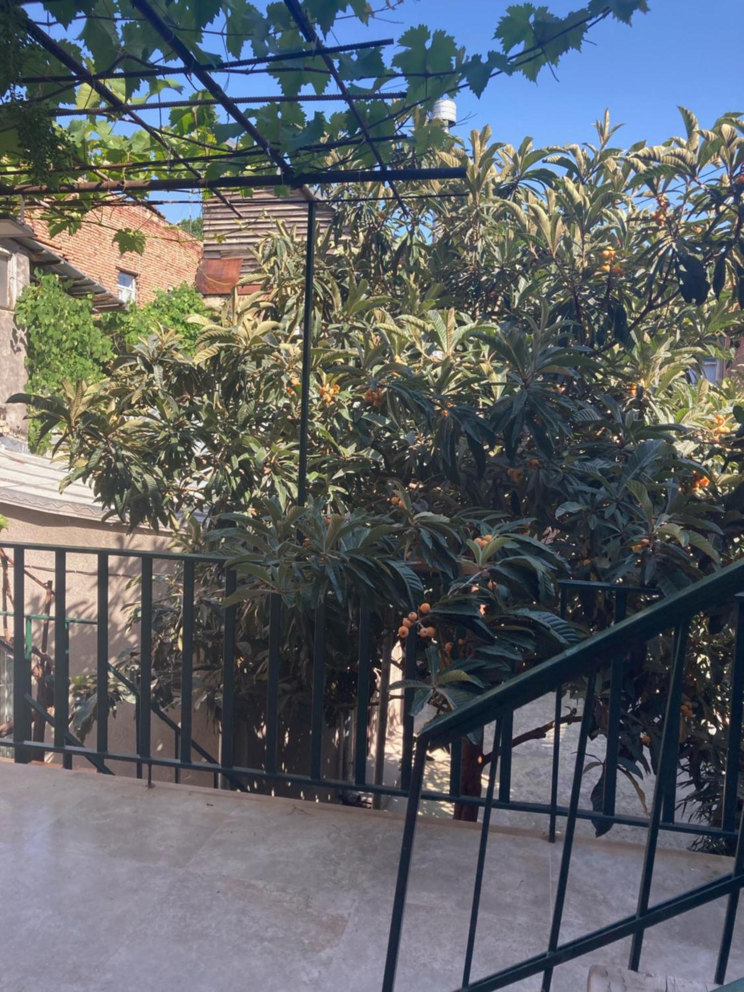 Historic Apartments "1868 Tbilisi" Best Location Bagian luar foto